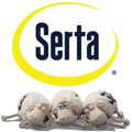 The Comfort Group Serta Bed Displays (Briscoes)