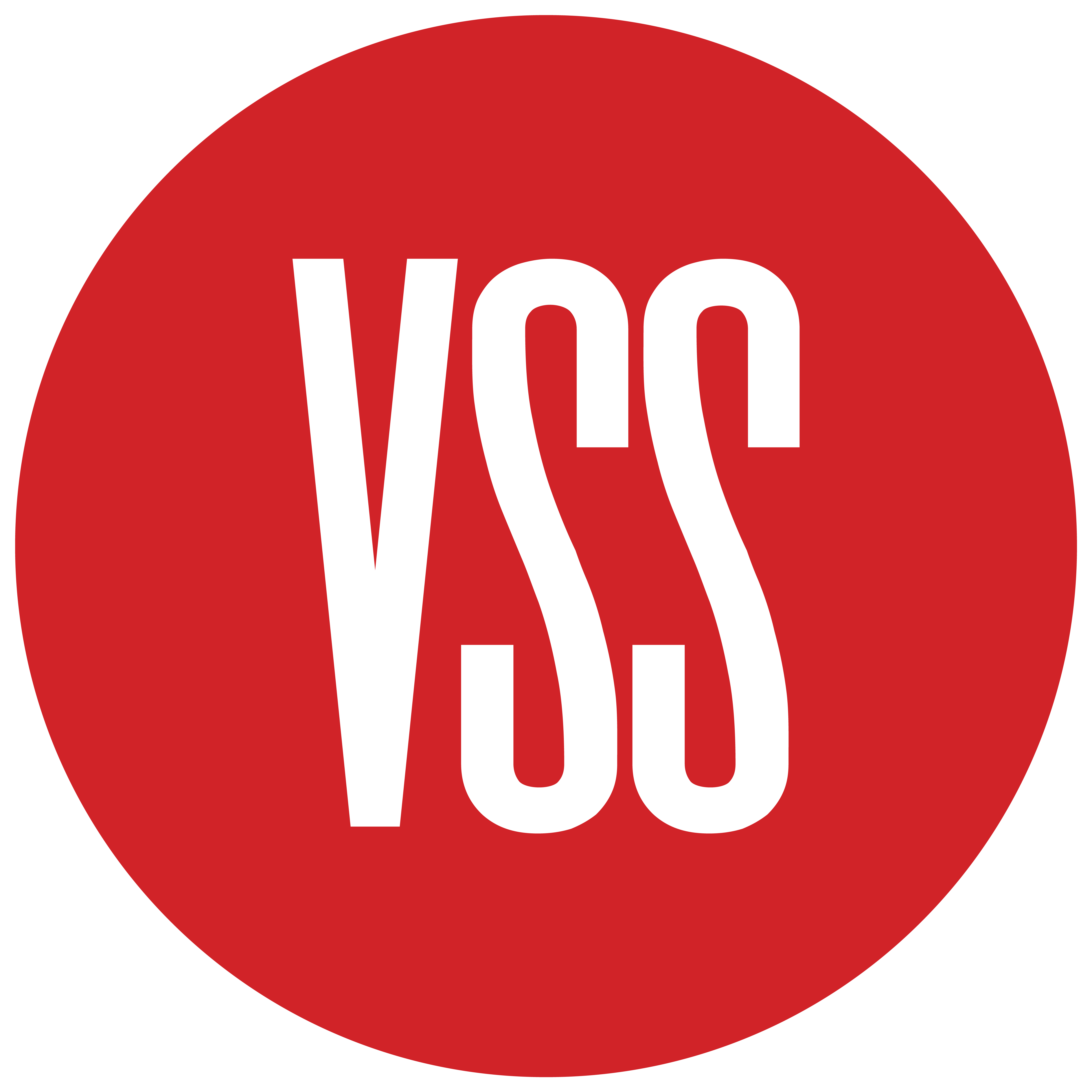 VSS Limited